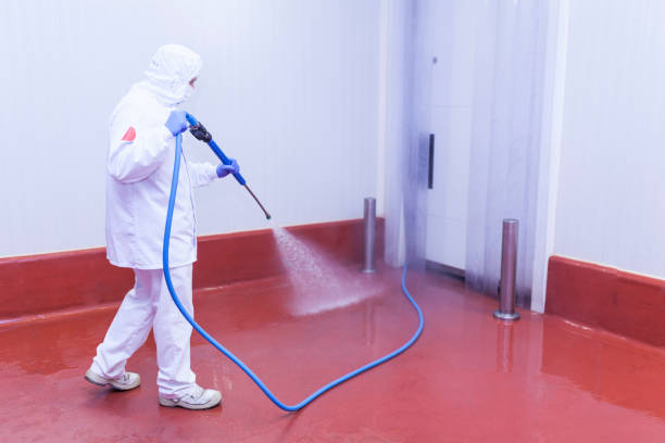 Best Restaurant Pressure Washing  in Manche Village, CA